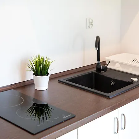 Brick House In L Dzin Near Dutch Windmill *